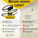 Hundefreund Joggingleine für kleine Hunde bis 15 kg – Freihandleine mit Bauchgurt – Bild 8