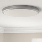 Philips LED Deckenleuchte 12W IP44 – Badezimmer Sprühleuchte Weiß – Bild 2