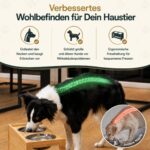 CANIMO Hundenapf erhöht – Ergonomische Futterstation mit Edelstahlnäpfen für Hunde bis 25 kg – Bild 4