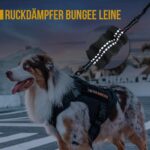 OneTigris Hundeleine 51cm mit Bungee-Ruckdämpfer – Reflektierend für Spaziergänge & Radfahren – Bild 4