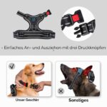 PHOEPET Hundegeschirr M mit Front-Clip & Reflektoren – Anti-Zug-Weste für kleine Hunde – Bild 3