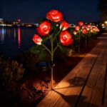 Hqynss 2er Set Solar Rosenleuchten – IP65 Solarlampen für Garten & Terrasse in Rot – Bild 5
