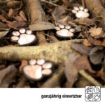 hellum Solar Pfoten 4 LED warmweiss – Gartenleuchte & Grablicht für Haustiere – Bild 3
