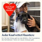 Bissell PowerClean 3-in-1 Akku-Stabstaubsauger 200W – Kabellos mit HEPA-Filter & LED – Bild 15