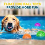 SHARLOVY 3,5" Stachelball 6er-Pack – Quietsch-Hundespielzeug mit Zahnpflege für alle Hunderassen – Bild 8