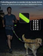 pecute Joggingleine für Hunde 15–55 kg mit Bauchgurt – Freihändiges Laufen & Stoßdämpfer – Bild 9