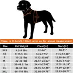 MOKCCI Truelove Kühlweste für Hunde – Verdunstungskühlung für Outdoor & Training – Bild 2