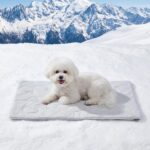 ZOMISIA Kühldecke für Hunde 89 x 64 cm – Selbstkühlend mit Q-MAX 0.4 für Sommer