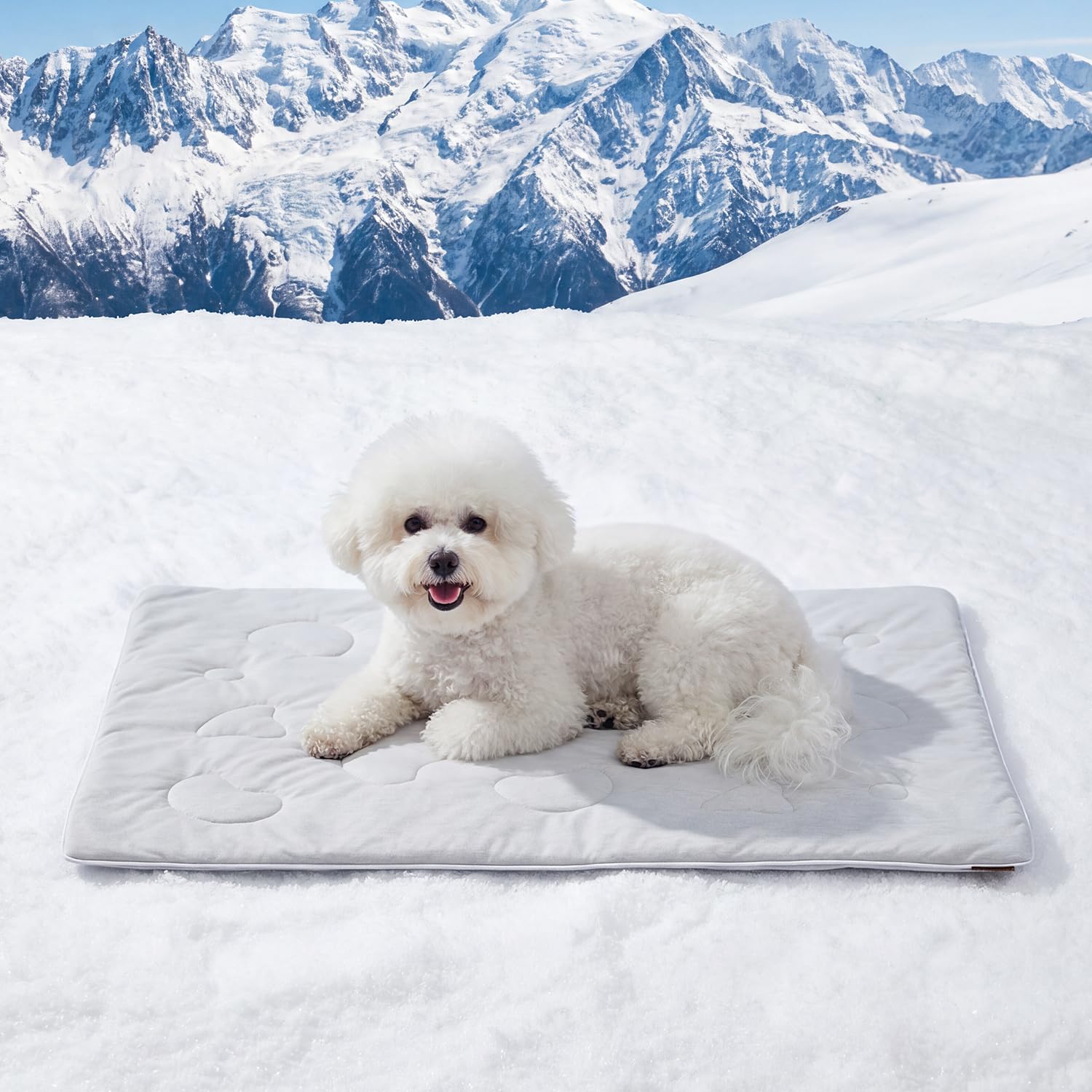 ZOMISIA Kühldecke für Hunde 89 x 64 cm – Selbstkühlend mit Q-MAX 0.4 für Sommer