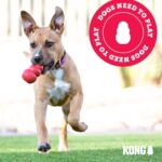 KONG Wild Knots Bear – Interaktives Seilspielzeug für Mittelgrosse & Grosse Hunde – Bild 7