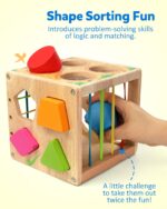 Coogam Holz Montessori Formsortierwürfel mit Hammer – Motorik & Formenlernen für Babys 12–36 Monate – Bild 3
