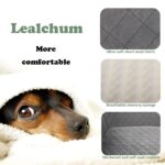 Lealchum Hundeautositz Gross mit Memory Foam – Sicherer Autositz für 2 kleine Hunde – Bild 3