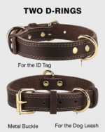 Joytale Hundehalsband Leder Grösse L – Weiches Echtleder mit robuster Metallschnalle – Bild 4