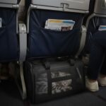 Conlun Katzentransportbox M – Flugzeugtauglich mit Sicherheitsschnalle für bis 7 kg – Bild 4