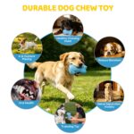 PETIZER Hundespielzeug mit Quietscher – Unzerstörbar aus Naturkautschuk für aggressive Kauer – Bild 6