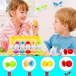 HVDHYY Montessori Sortierspielzeug mit 12 Eiern – Farb- & Formenerkennung für Kinder ab 3+ – Bild 5