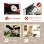 YEAHGO Keramik Katzennapf-Set 4er – Rutschfest & Flach für Nass- & Trockenfutter – Bild 6