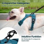 PoyPet No-Pull Hundegeschirr M – Reflektierendes Brustgeschirr ohne Würgen für Mittelgrosse Hunde – Bild 7
