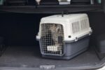 Karlie Flugzeugbox Nomad L – IATA-zertifizierte Transportbox für Hunde bis 10 kg – Bild 11