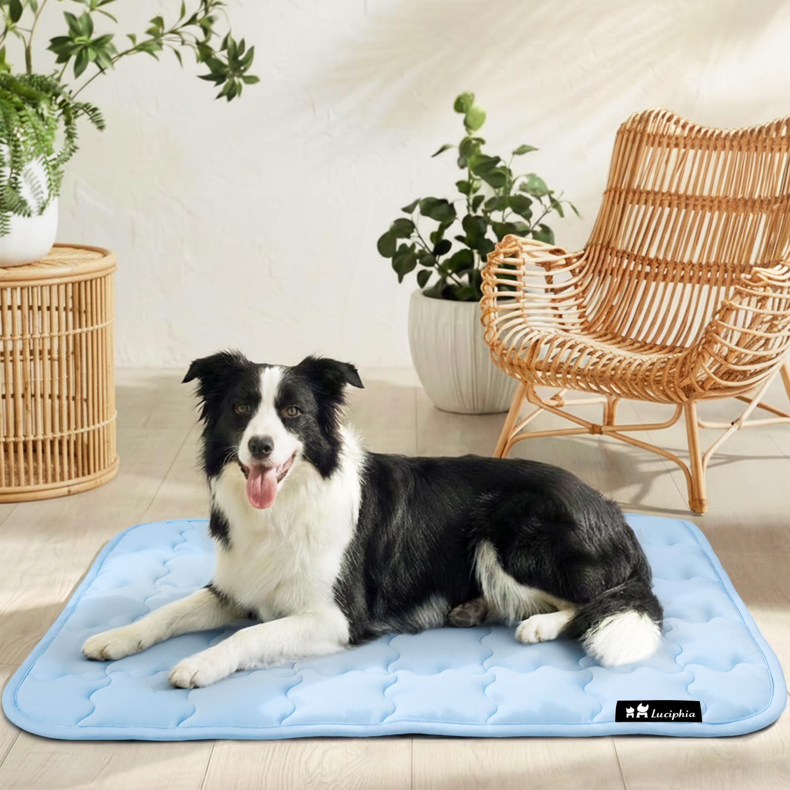 luciphia Selbstkühlende HundeMatte – Wasserdicht & Waschbar für Hunde & Katzen