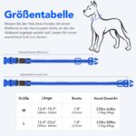 Colaseeme LED-Leuchthalsband Hund M – USB-C aufladbar, 3 Leuchtmodi, wasserdicht – Bild 5