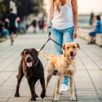 NAILAO Hundehalsband Clips – 2er Set mit Edelstahl & reflektierendem Nylon für sichere Hundeführung – Bild 5