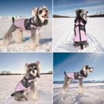Lairle Hundemantel Winter mit integriertem Geschirr – Wärmejacke für kleine & mittlere Hunde – Bild 4