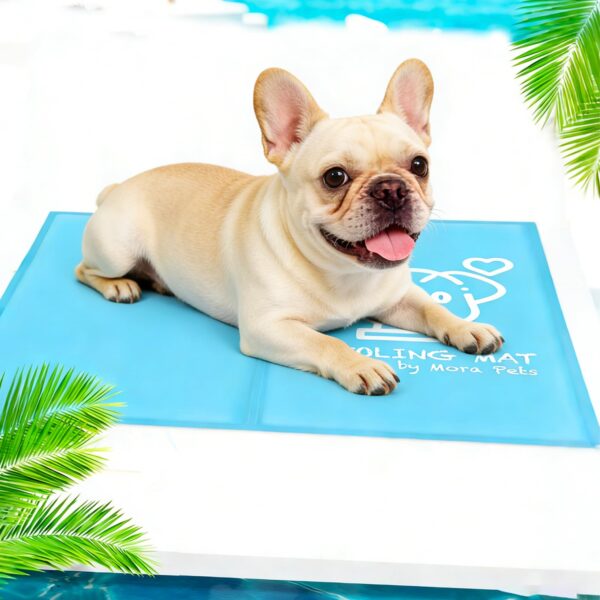 Pawtasy Kühlmatte M 65x50 cm – Selbstkühlende Hundekühldecke mit Gel für Hunde & Katzen