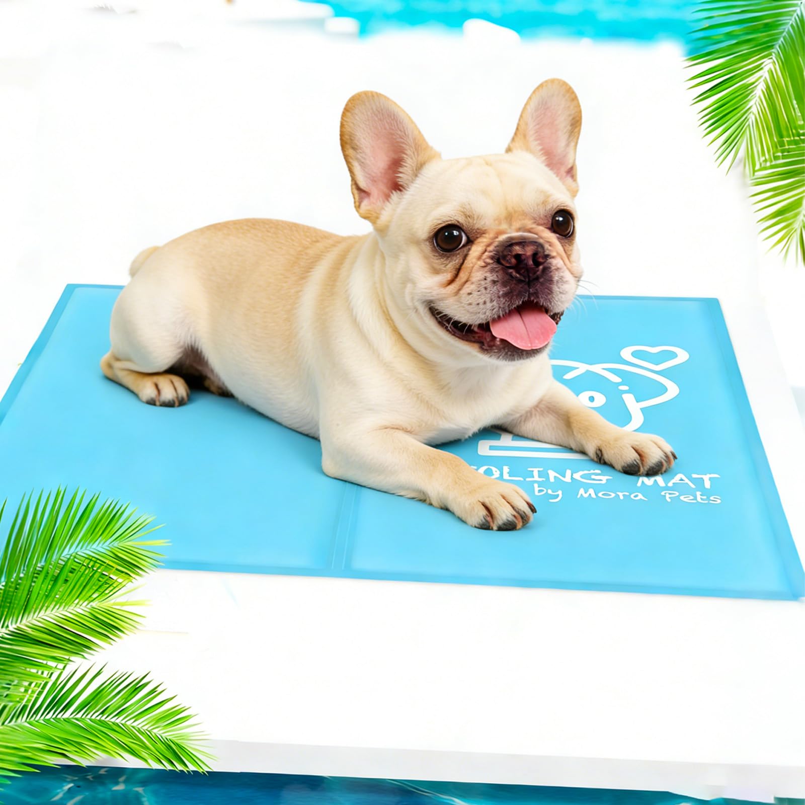 Pawtasy Kühlmatte M 65x50 cm – Selbstkühlende Hundekühldecke mit Gel für Hunde & Katzen