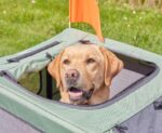 Knuffelwuff Cruvado Hundeanhänger & Buggy – 2-in-1 Fahrradanhänger für Hunde bis 45 kg – Bild 8