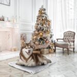 Nobleza Hundedecke 120x100 cm – Weiche Fleecedecke für Hunde, Katzen & Haustiere – Bild 2