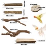 Allazone 9er Naturholz Sitzstangen Set für Vögel – Papagei Spielzeug & Käfig Zubehör – Bild 2