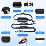 Philorn Joggingleine Hunde – Freihändiger Laufgurt mit Bungee & Dual-Griffen bis 50kg – Bild 3