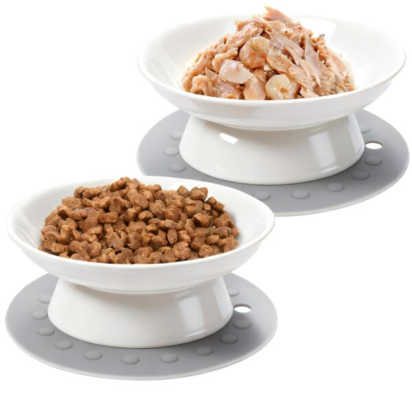 YIQOGAME Katzennapf-Set 2er erhöhte Keramiknäpfe mit Anti-Rutsch-Matte