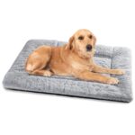 Baodan Hundebett 90x60 cm für Mittlere Hunde – Weiches Kissen mit rutschfester Unterseite
