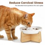 PETTOM Erhöhter Antischlingnapf Katze Keramik – Slow Feeder mit Bambusgestell – Bild 3