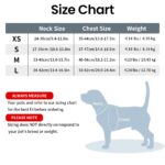 PcEoTllar LED-Hundegeschirr XS aufladbar – 9 Modi, reflektierend für kleine Hunde – Bild 5
