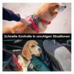 PHOEPET Hundegeschirr M Anti-Zug mit Griff – Verstellbar & Reflektierend für Mittelgrosse Hunde – Bild 5
