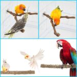 Allazone 9er Naturholz Sitzstangen Set für Vögel – Papagei Spielzeug & Käfig Zubehör – Bild 5