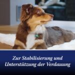 Canosept Darmflora Hund – 30 Tabletten mit Probiotika & Präbiotika für gesunde Verdauung – Bild 4