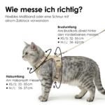 LucyBalu® Explorer Katzengeschirr XS/S mit Leine – Brustgeschirr-Set mit AirTag-Fach – Bild 5