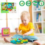 HOLA Elefanten-Musikspielzeug mit Klavier & Licht – Motorikspielzeug für Babys ab 6 Monaten – Bild 6