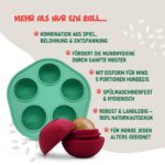 SmoothieDog Schleckball + Hundesmoothie 6er Mix (250ml) – Intelligentes Spielzeug & Natürlicher Snack – Bild 5