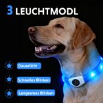 LaRoo LED Hundehalsband USB-Wiederaufladbar – Sicherheit & Sichtbarkeit bis 500m für Nachtspaziergänge – Bild 4