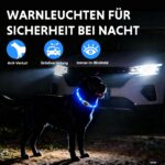 LaRoo LED Hundehalsband USB-Wiederaufladbar – Sicherheit & Sichtbarkeit bis 500m für Nachtspaziergänge – Bild 5