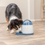 TRIXIE Memory Trainer 3.0 – Intelligenzspielzeug für Hunde mit stufenweise Schwierigkeit – Bild 2