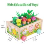 Montessori Holz-Motorikspielzeug Bauernhof – Formensortierer & Feinmotorik für Kinder ab 1 Jahr – Bild 3
