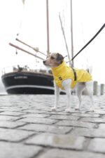 TRIXIE Hunde-Regenmantel Gr. S – Wasserdichte Regenjacke mit Reflektoren für sicheren Wetterschutz – Bild 7