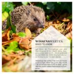 WILDLIFE HOME Igel Futterstation 2er Set – Wetterfeste Keramik Futter- & Trinkschale – Bild 5