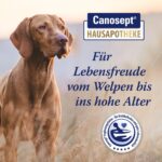 Canosept Darmflora Hund – 30 Tabletten mit Probiotika & Präbiotika für gesunde Verdauung – Bild 2